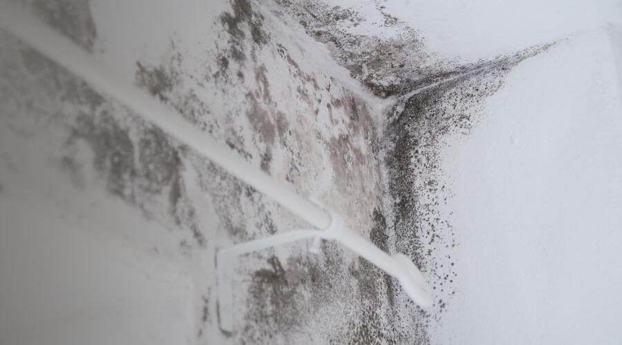 Why choose water damage restoration service for water damage restoration service in Hartford